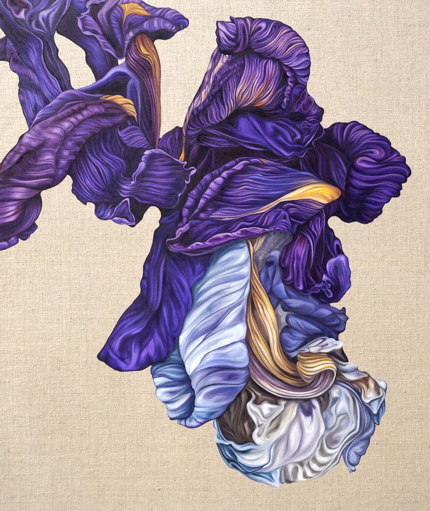 Majestic Purple — Flow series, Caroline Pera